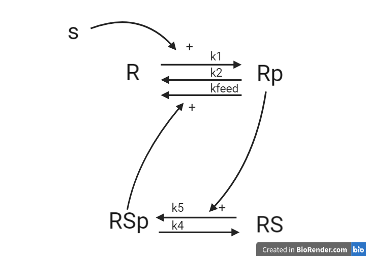 Equations from graph H1